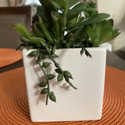 Faux Succulent Plant Target 