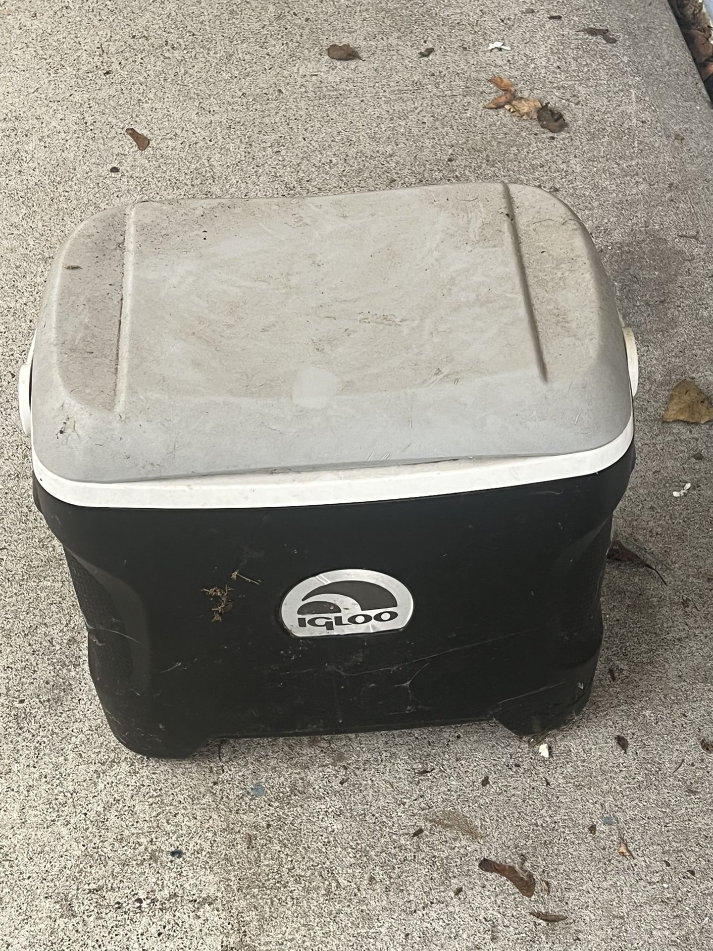 Igloo Cooler