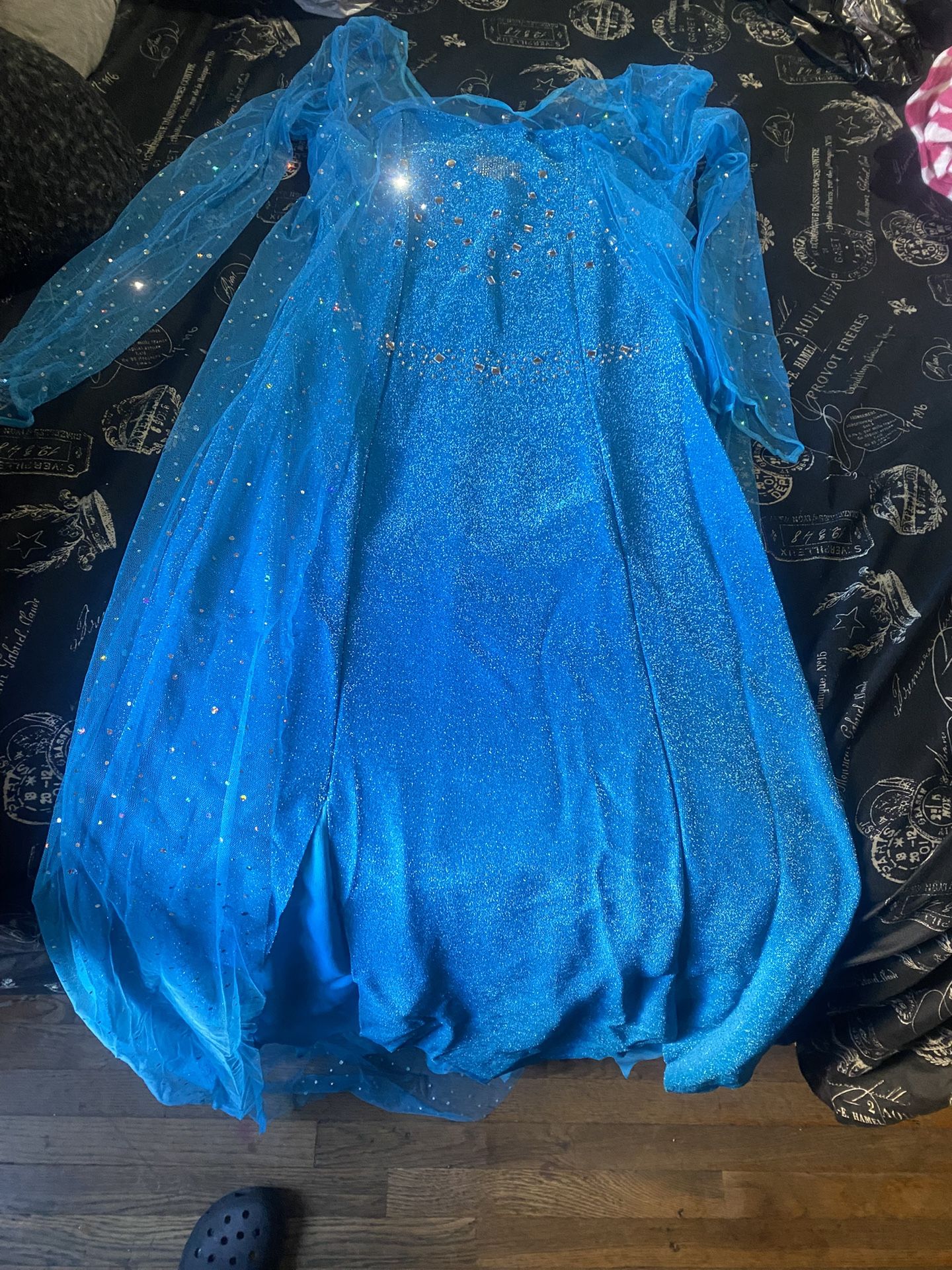 Frozen adult dress Princess Elsa Size Small