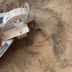 Stump Grinding Palm Trees