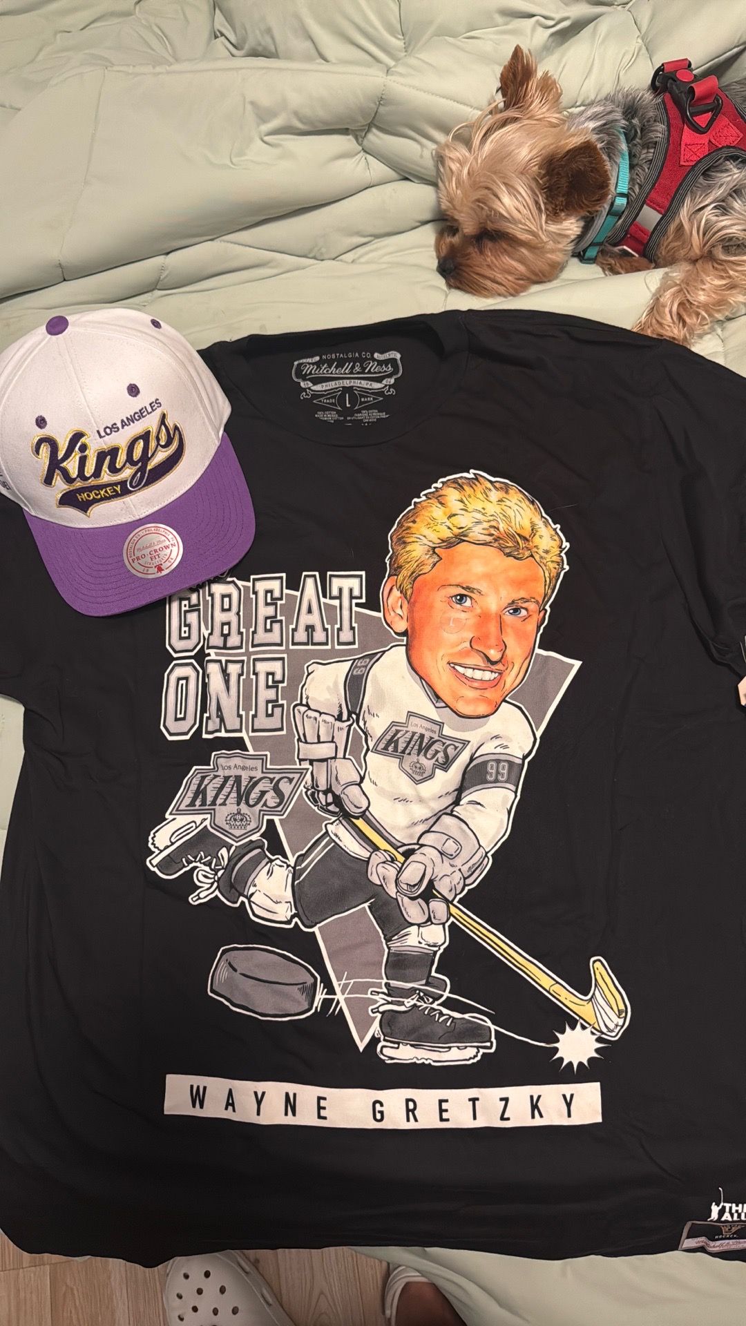 Mitchell and Ness LA Kings Gear