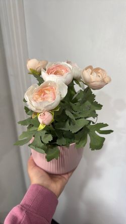 Baby pink nursery flowers