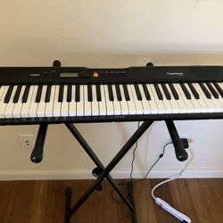 Casio Beginner Keyboard