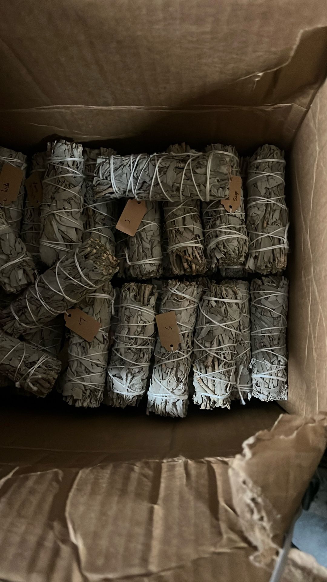 White Sage - Smudging 