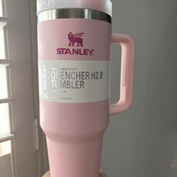 Pink Stanley 