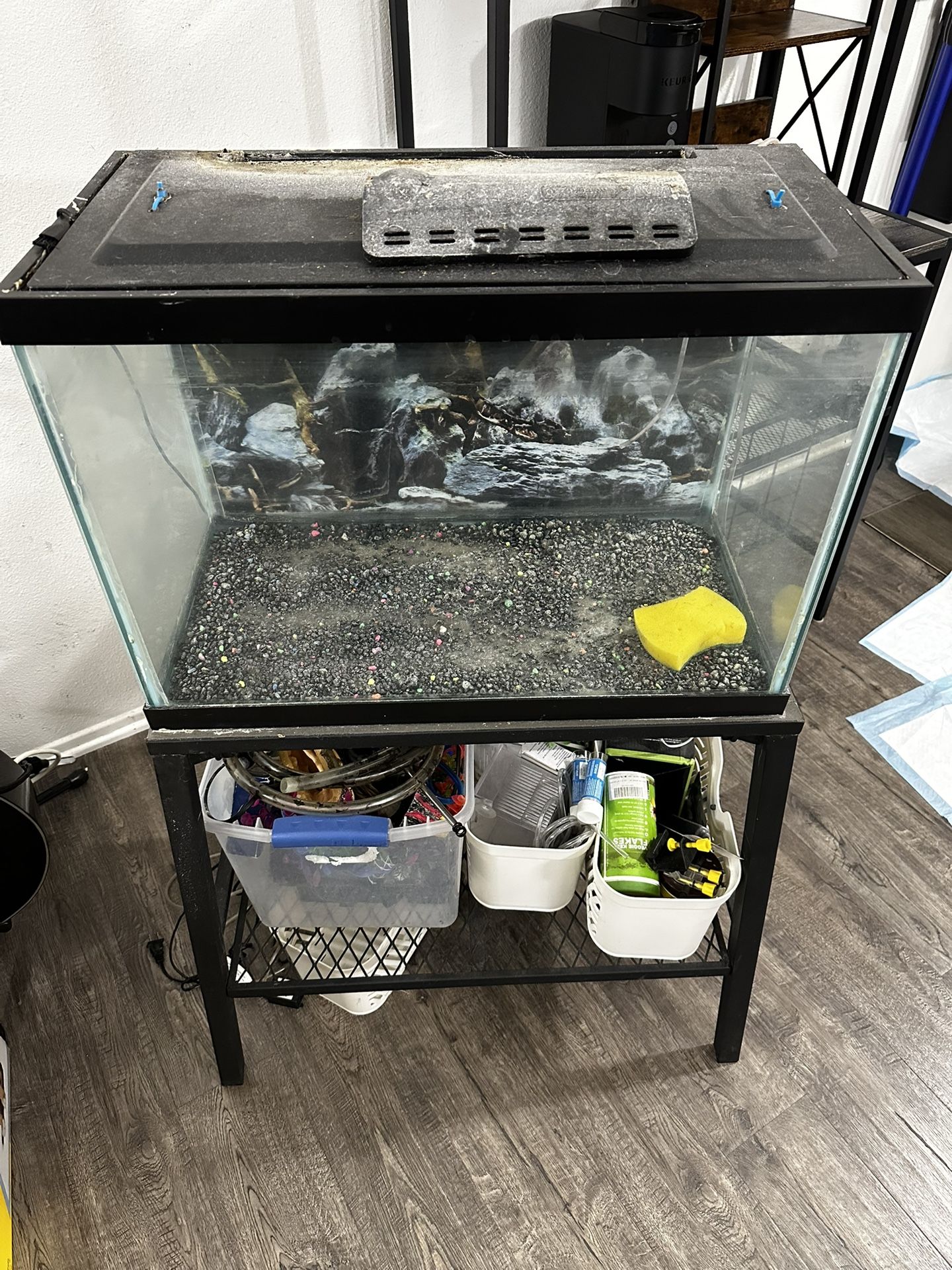 20 Gallon Aquarium - Fish Tank