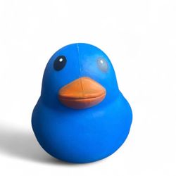 Sunny Days Squeezy Blue Duck