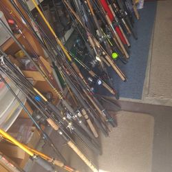 All Kinds Fishing Poles,price Depends On What U Want