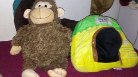 Monkey