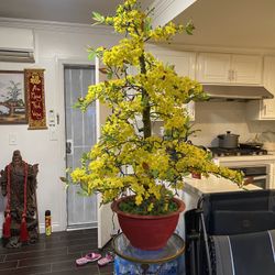 Fake Asian Plant For Sale