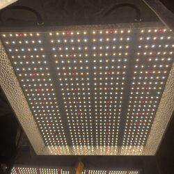 Several Quality LED Grow Lights 