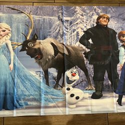 Frozen Birthday Decorations : Elsa Backdrop, Door Fringe Curtain And Sequin Table Cloth 
