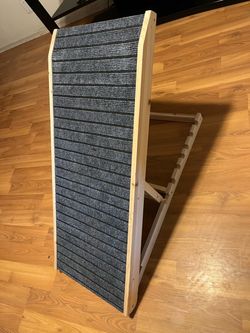 Ladder for dog
