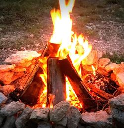 FIREWOOD - Nice Dry Seasoned Firewood Quarter Cords