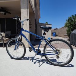 Specialized Raleigh Detour Expedition Sport L Bike