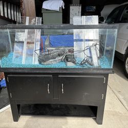 55 Gallon Aquarium With Aquarium Stand And Hood 