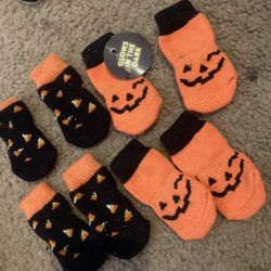 Dog/cat Halloween Socks