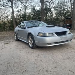 2001 Ford Mustang