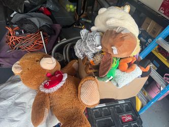 Box of Plushies and Toys