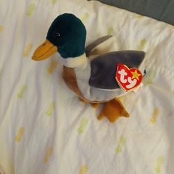 Jake,  TY Baby  RARE