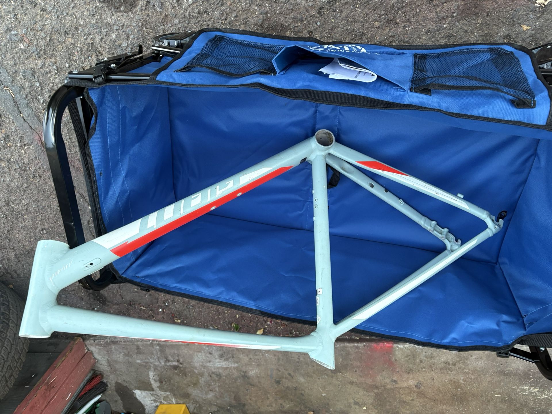 Giant Road/Gravel Frame