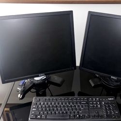 DUAL DELL MONITOR (COMPUTER SETUP )
