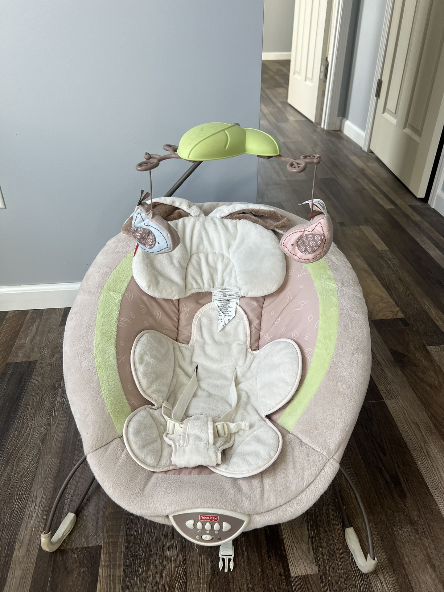 Fisher Price Baby Bouncer