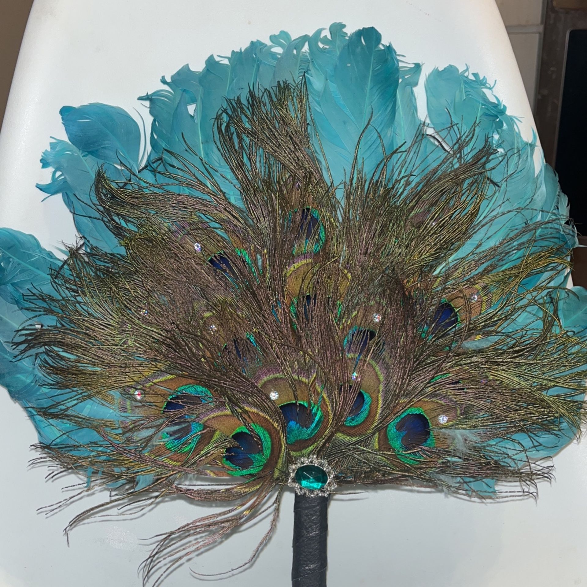 Peacock Fan 