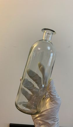 Glass Vase