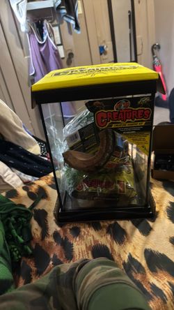 New terrarium kit