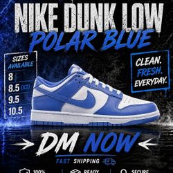 Nike Dunk Low  POLAR BLUE