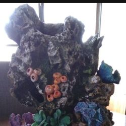 Coral