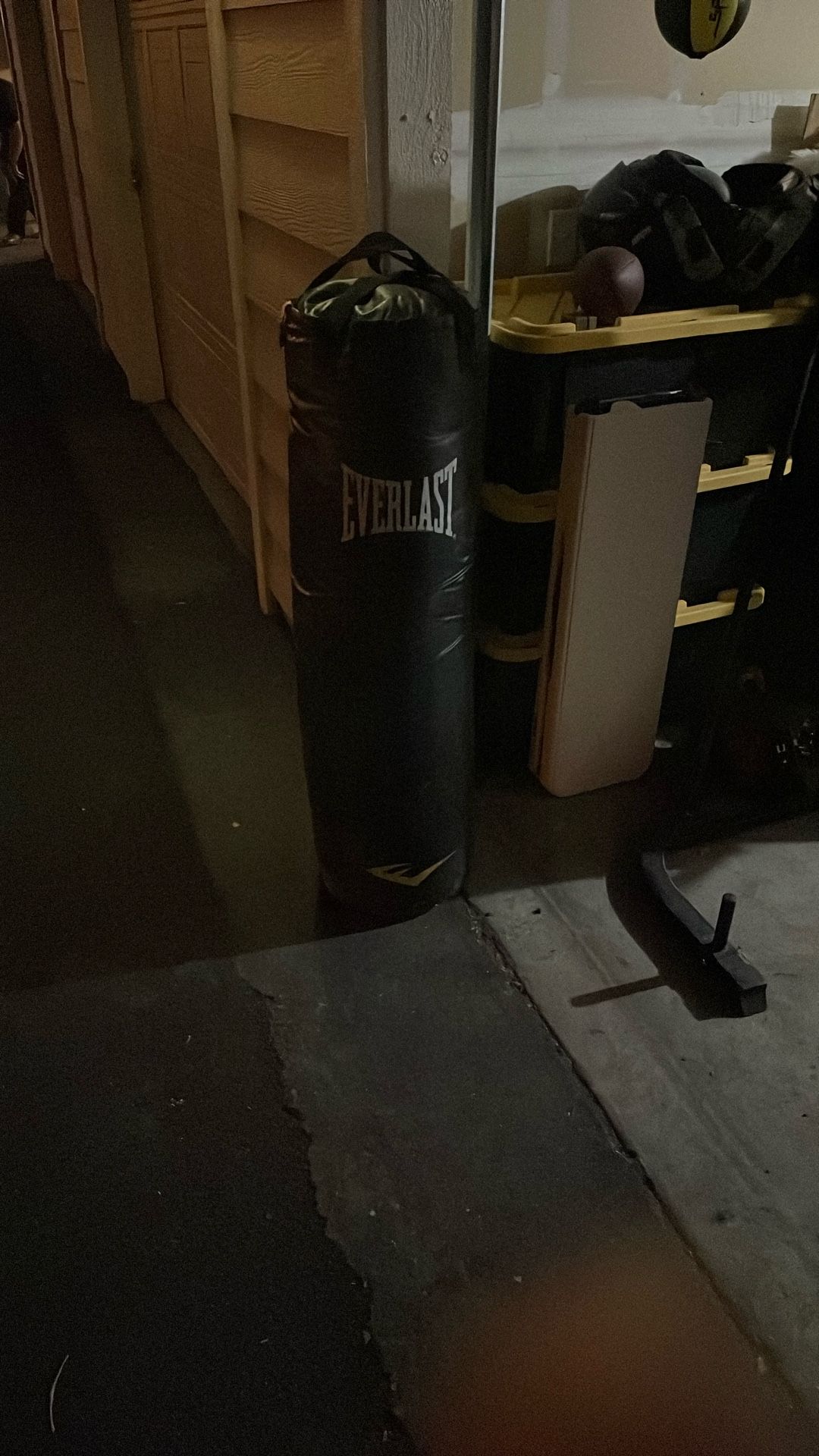 100lb Black Everlast Punching Bag