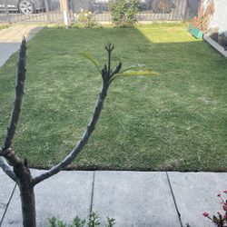 Jardinero