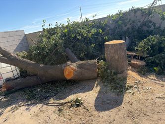 Firewood