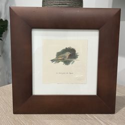 Bird Art By Isabelle DeBorchgrave   Price Just Reduced