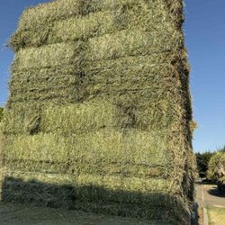 Orchard/Alfalfa Mix, Mountain Hay, Grassy Hay