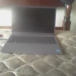 Dell Laptop 