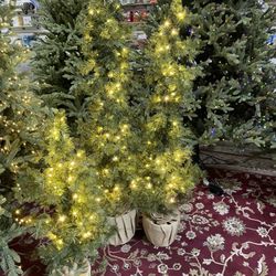 Small Christmas Trees