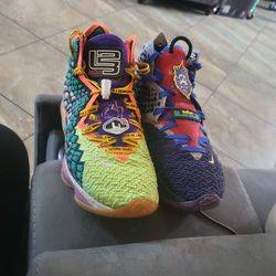 Lebron James Basketball Shoes