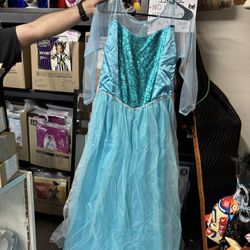 New, Women’s Deluxe Frozen Elsa Costume With Hoop Skirt Size M/L