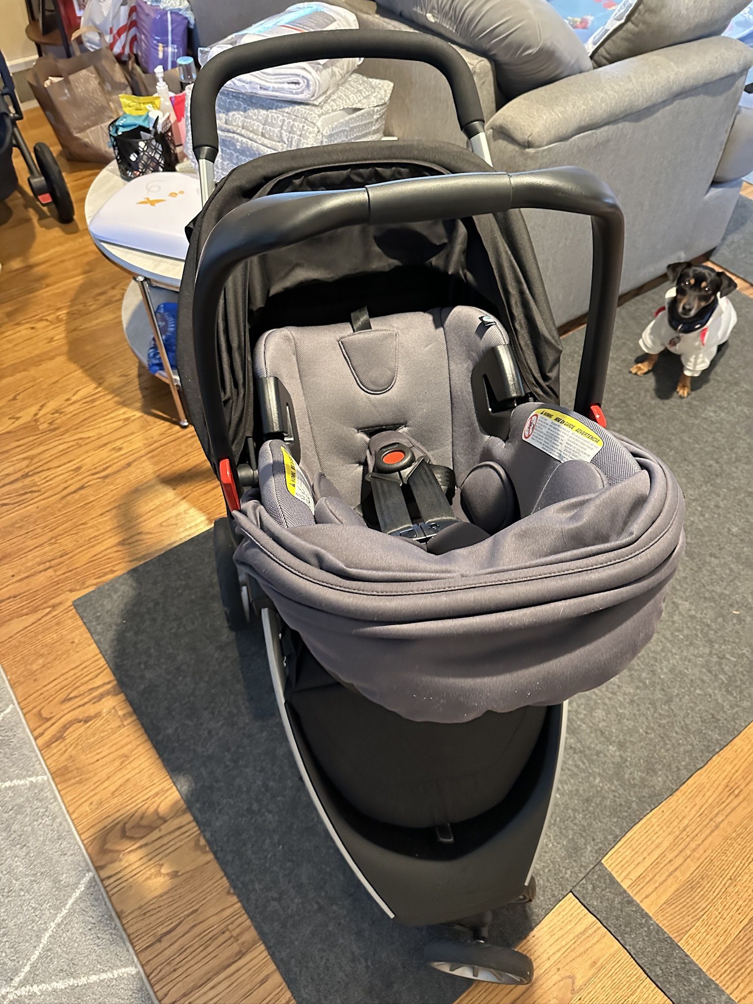 Car Seat & Stroller (Britax Travel System)