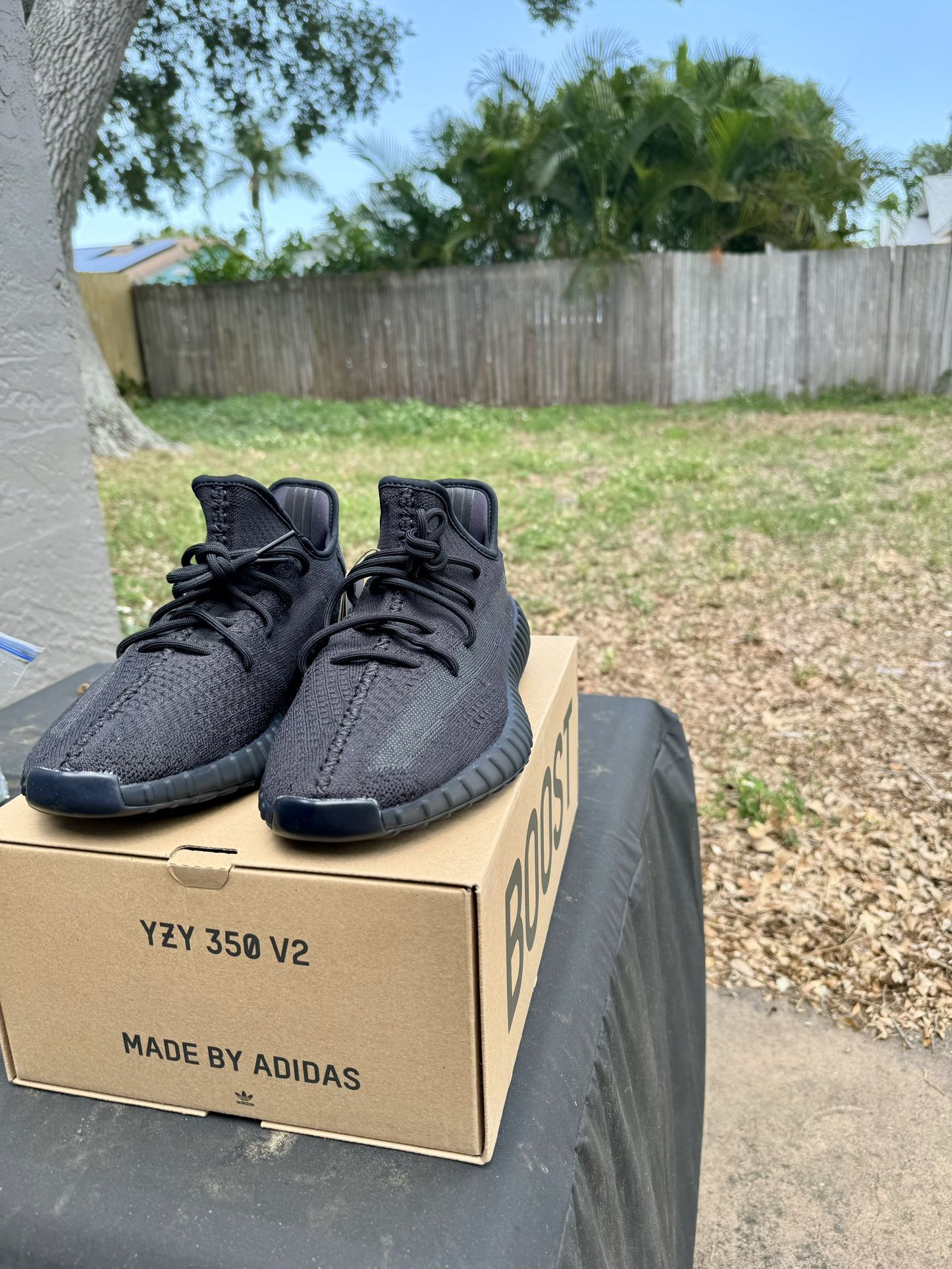 DS Yeezy 350 Onyx