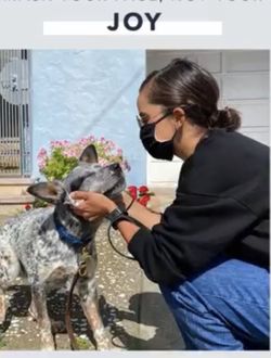 New comfy and washable