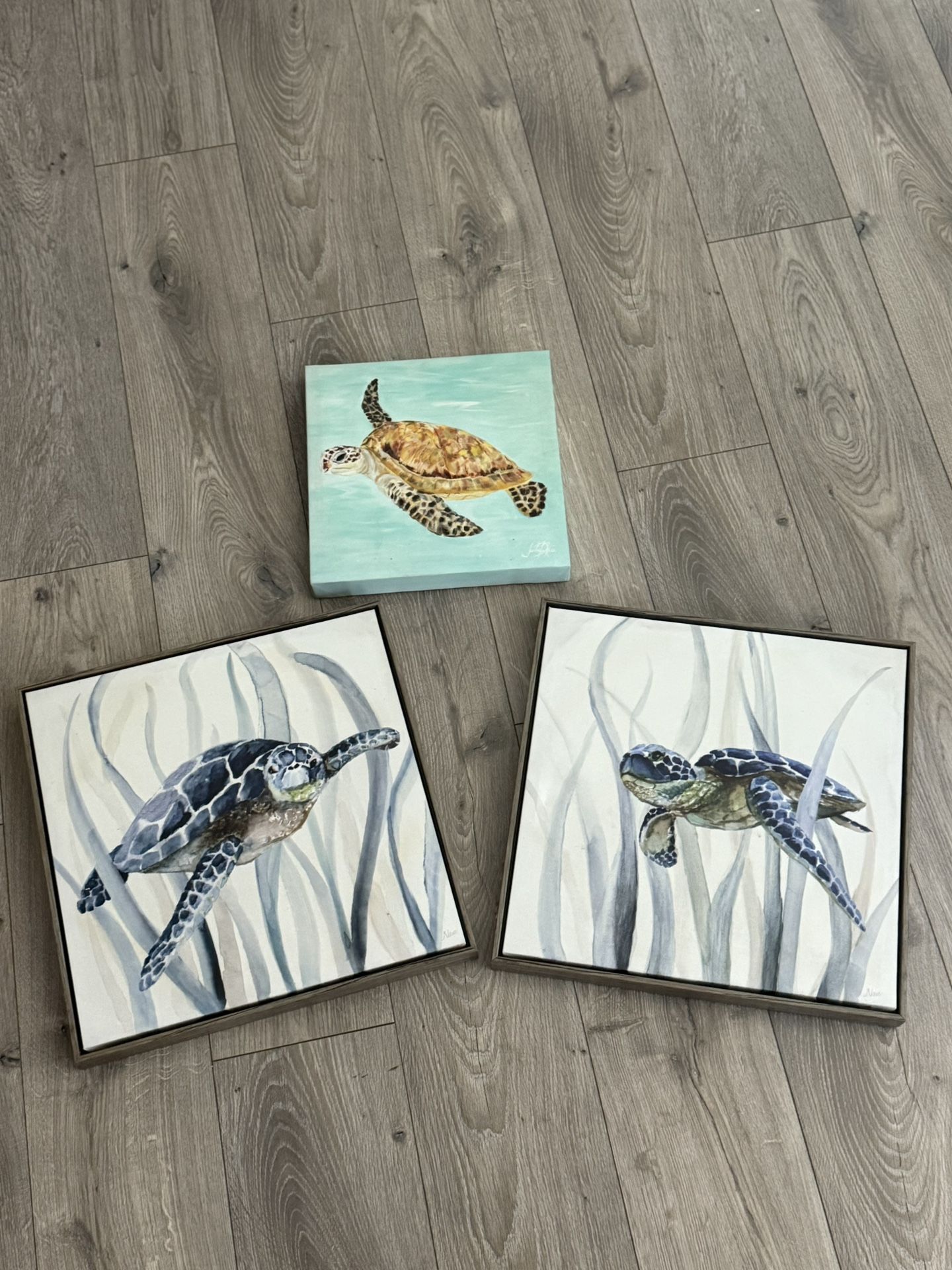 Bathroom Turtle Decor