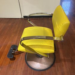 Salon/barber Chair