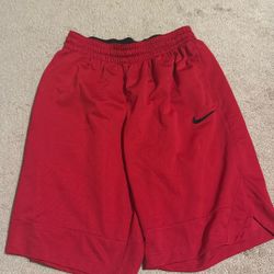 Dri-fit Nike 9” Shorts