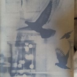 Breakfast at Tiffany's

by Truman Capote

