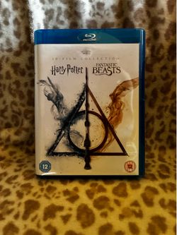 Harry Potter and Fantastic beast 10 film collection box set