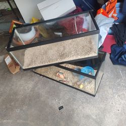Fish Tank